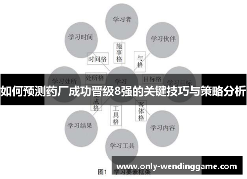如何预测药厂成功晋级8强的关键技巧与策略分析