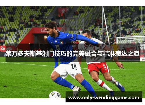 莱万多夫斯基射门技巧的完美融合与精准表达之道