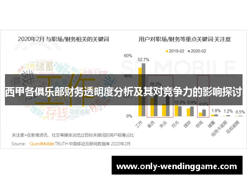 西甲各俱乐部财务透明度分析及其对竞争力的影响探讨
